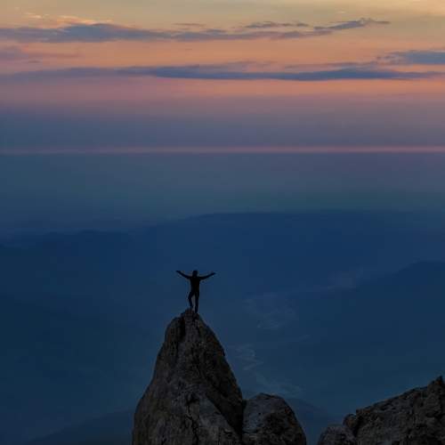 Photo #11497900