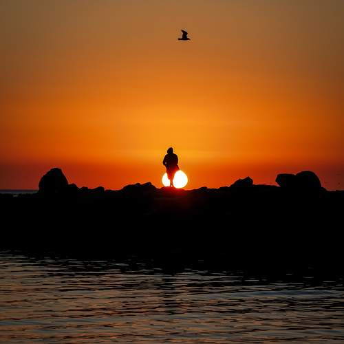 Photo #11498128