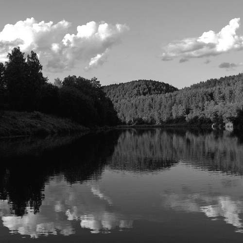 Photo #11498264