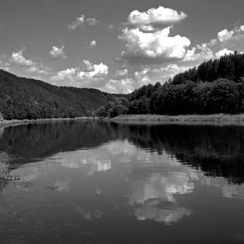 Photo #11498265