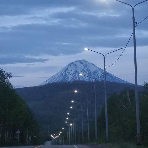 Photo #11498477
