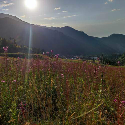 Photo #11498535