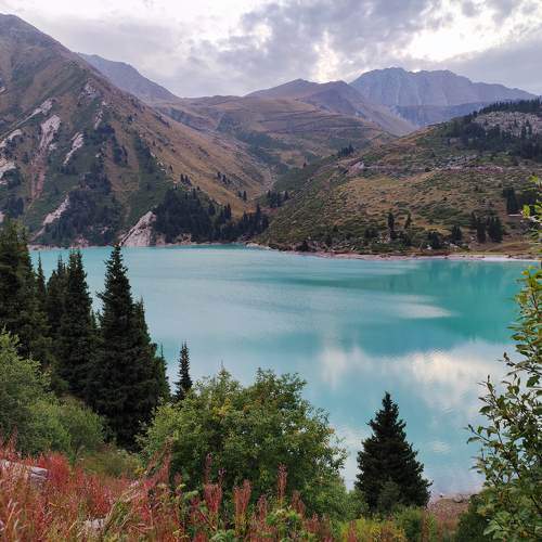 Photo #11498540