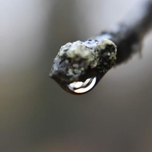 Photo #11498688