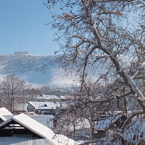 Photo #11499355