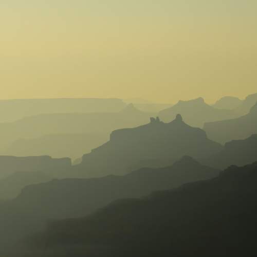 Photo #11499593