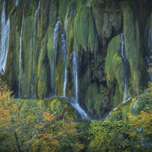 Photo #11499594
