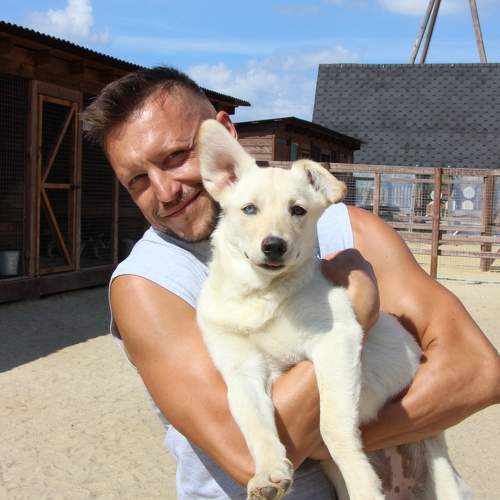 Photo #11499655