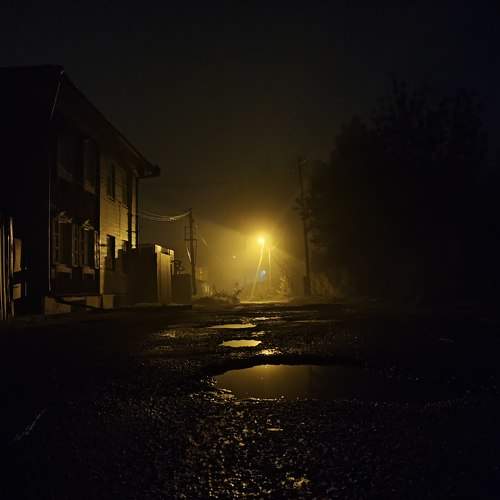 Photo #11499820
