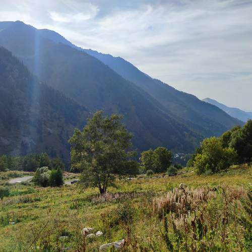 Photo #11499861