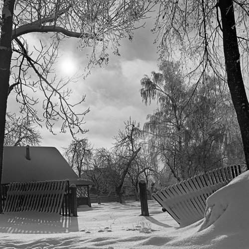 Солнечный день