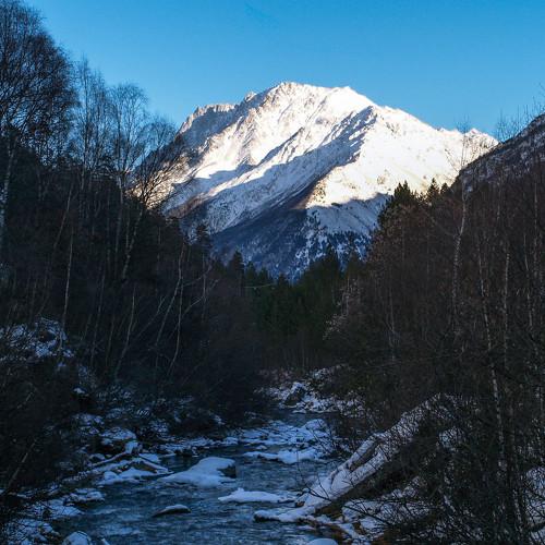 Photo #1151031