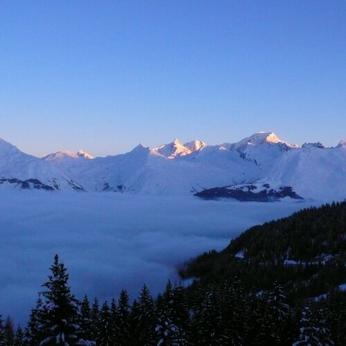 Photo #1152206