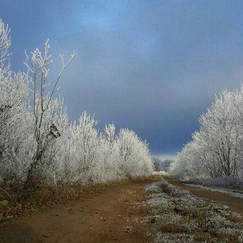 Photo #1152847