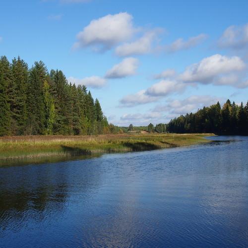 Водное спокойствие