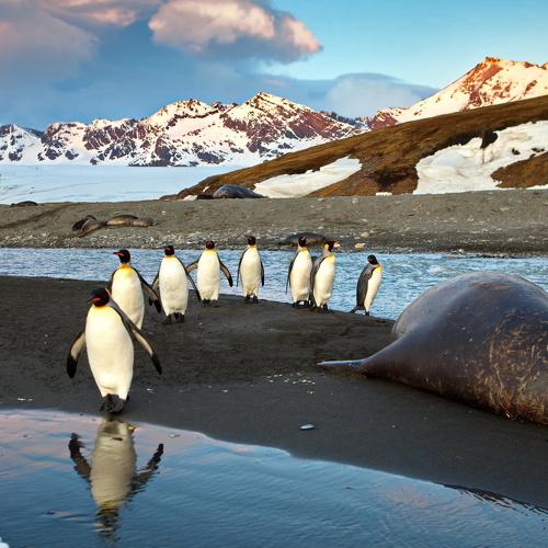 Рассветная идиллия