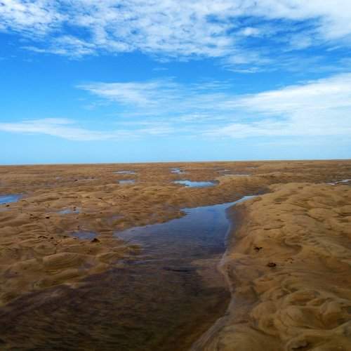 Water in the Dunes