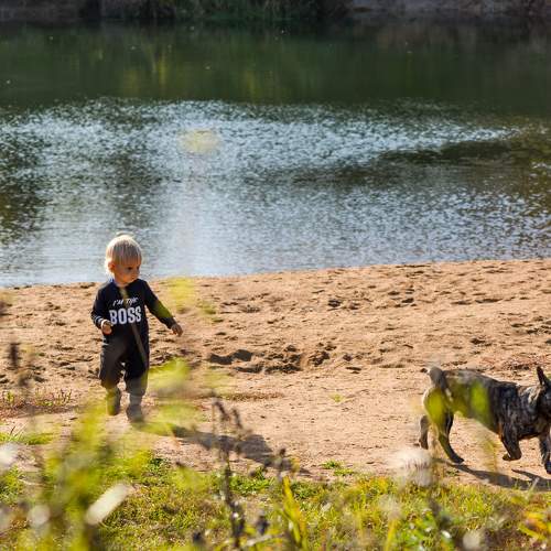 Photo #11500270