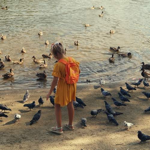 Photo #11500323