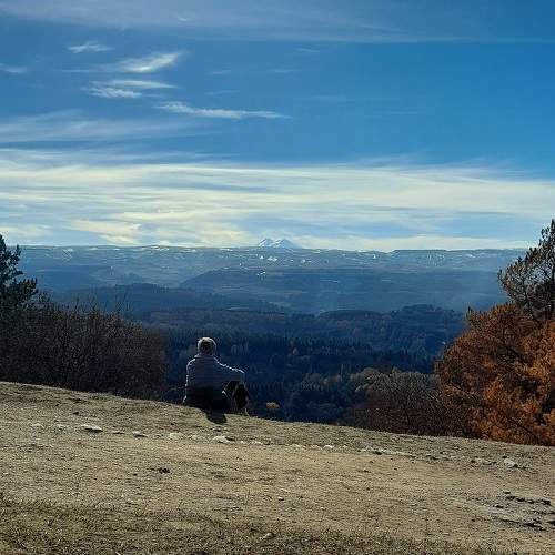 Photo #11500339