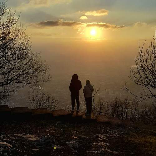 Photo #11500342