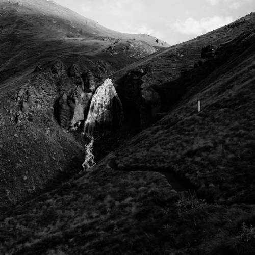 Photo #11500499