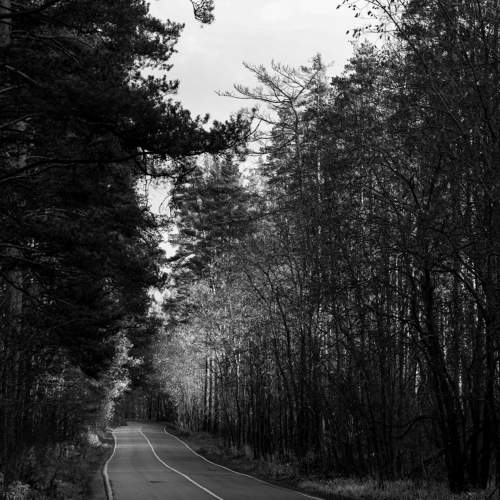 Photo #11500698