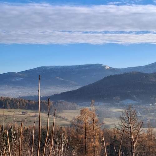 Photo #11500885