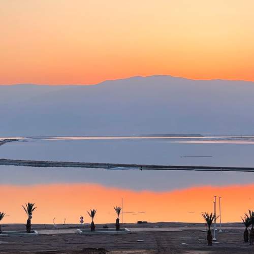Photo #11500960