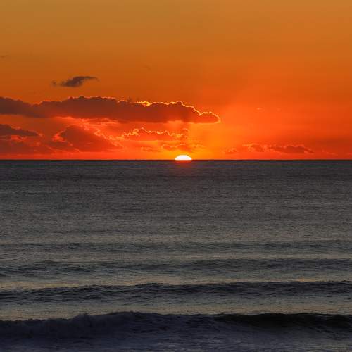 Photo #11501028