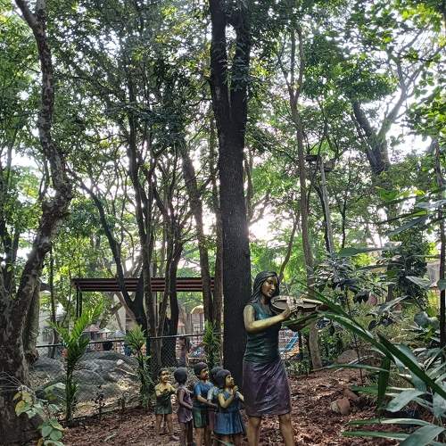 Photo #11501055