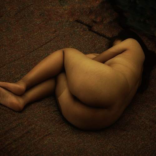 Photo #11501154