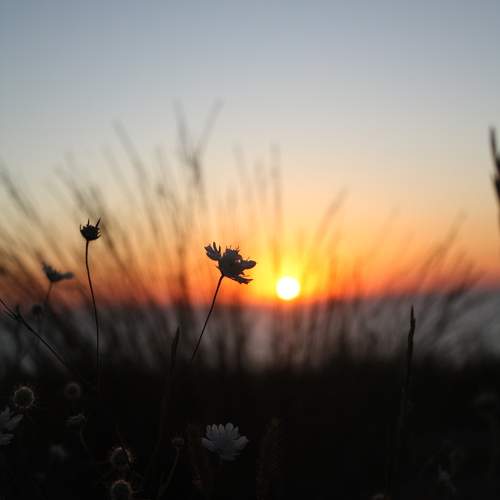 Photo #11501174