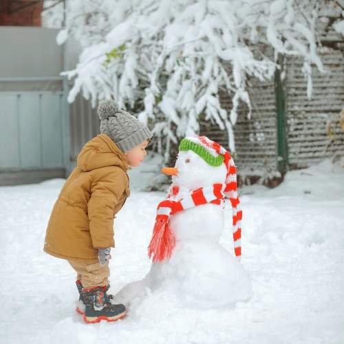 Photo #11501179