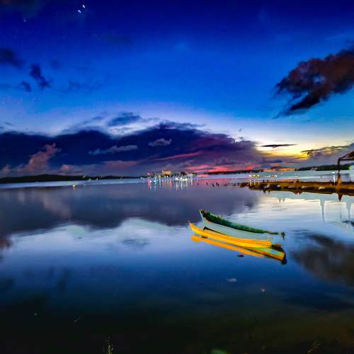 Photo #11501293