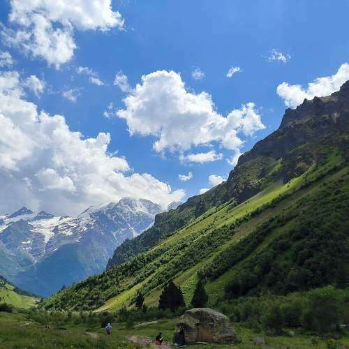 Photo #11501475