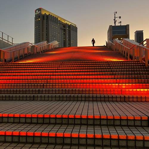 Photo #11501673