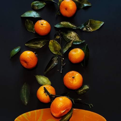 Photo #11501839