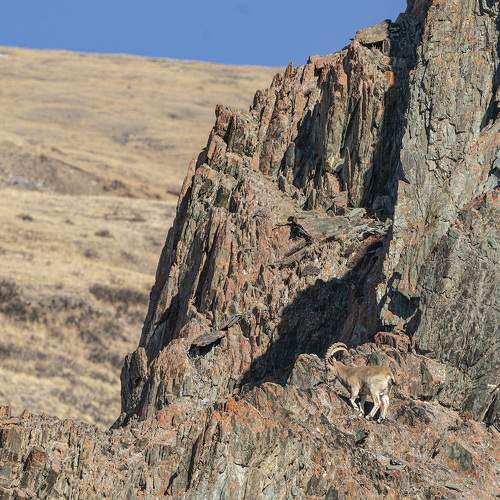 Photo #11501890
