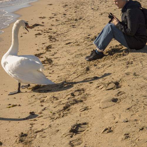 Photo #11502138