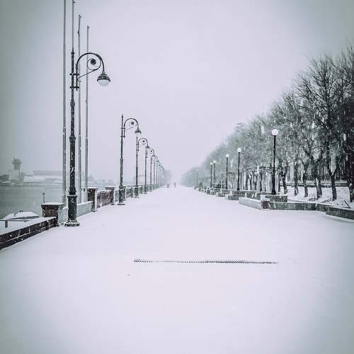Photo #11502141