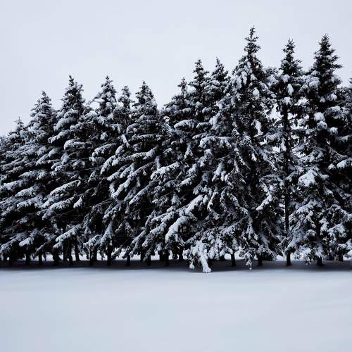 Photo #11502144