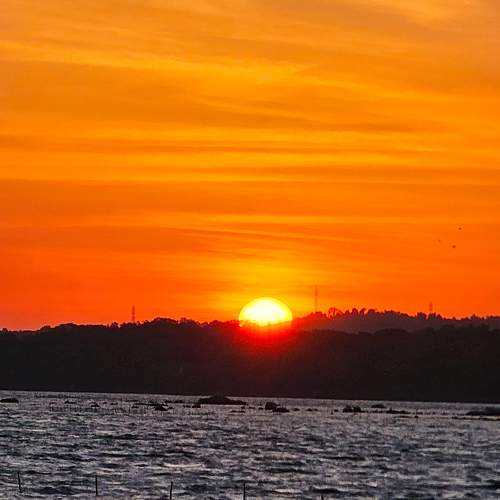Photo #11502151