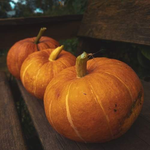 Photo #11502210