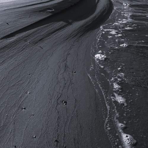 Photo #11502294