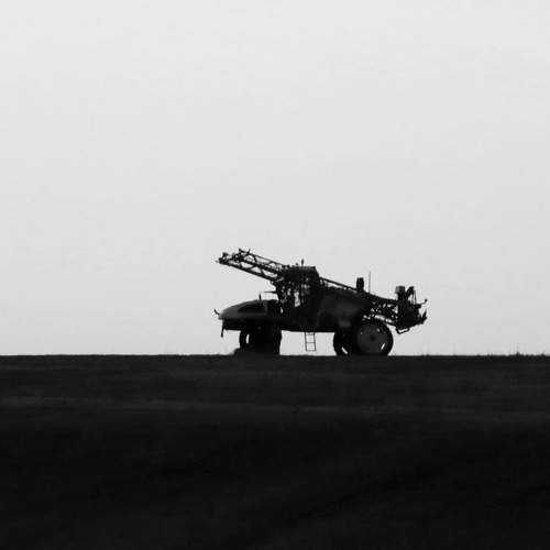 Photo #11502363