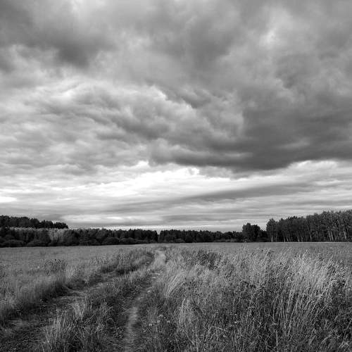 Photo #11502647