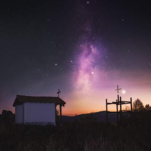 Photo #11502746