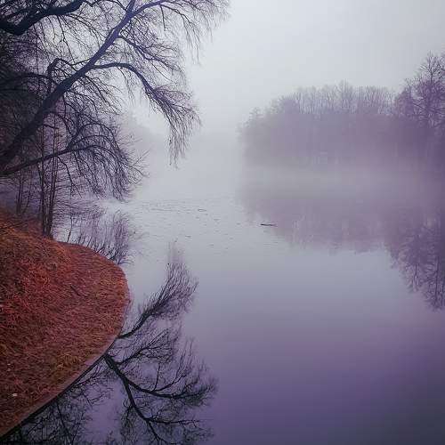 Photo #11502825