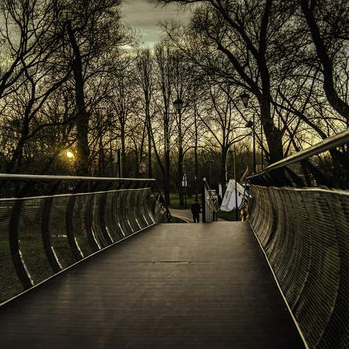 Photo #11502941